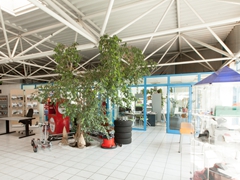 Ein Blick ins Autohaus Breitungen