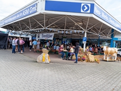 Oktoberfest-AB-2019-48